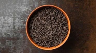 tra-den-vien-ilota