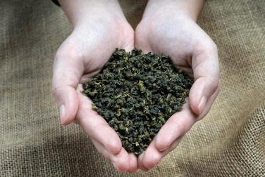 tra-pha-may-oolong-teapresso-ilota