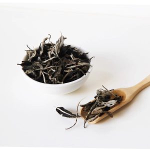 hoa-tra-shan-tuyet-co-thu