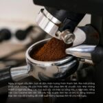 ca-phe-arabica-dac-san-viet-nam
