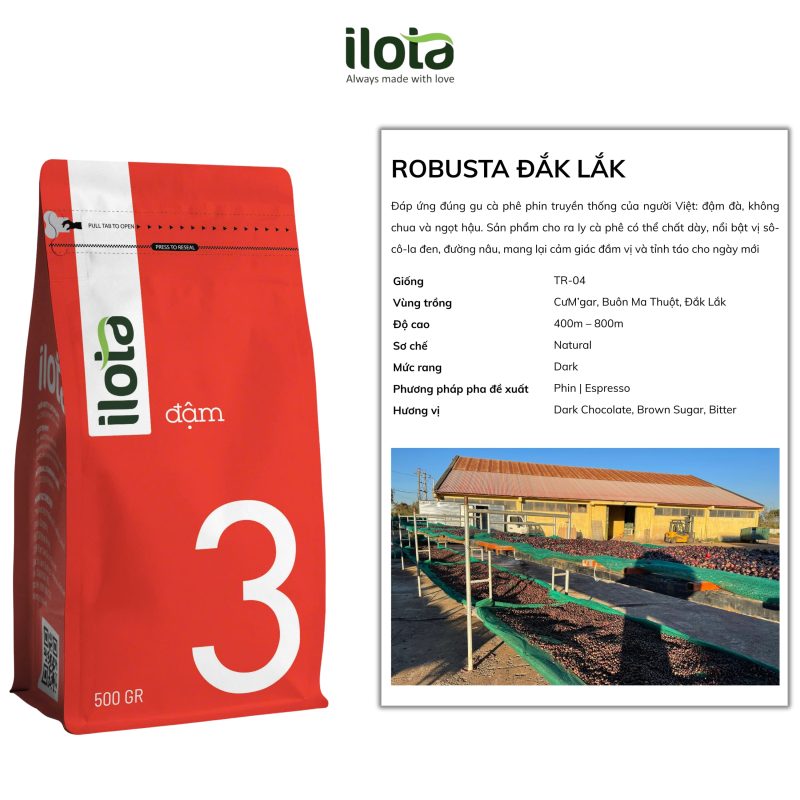 ca-phe-robusta-dak-lak