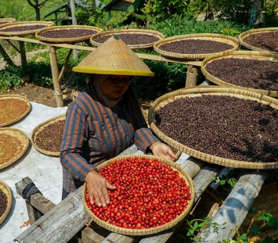 ca-phe-arabica-dac-san-viet-nam