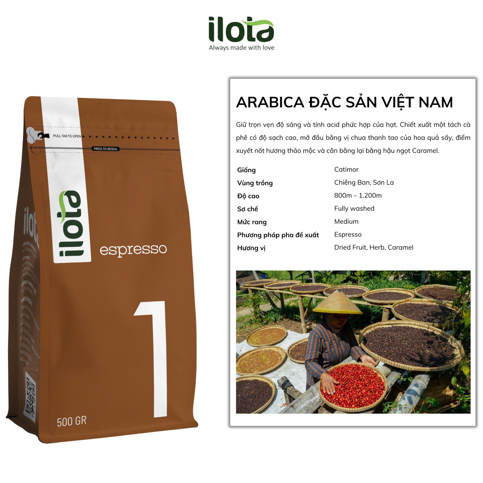 arabica-dac-san-viet-nam