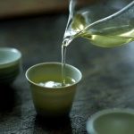 luc-tra-shan-tuyet-co-thu