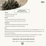pha-hong-tra-shan-tuyet