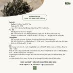 pha-bach-tra-shan-tuyet-co-thu