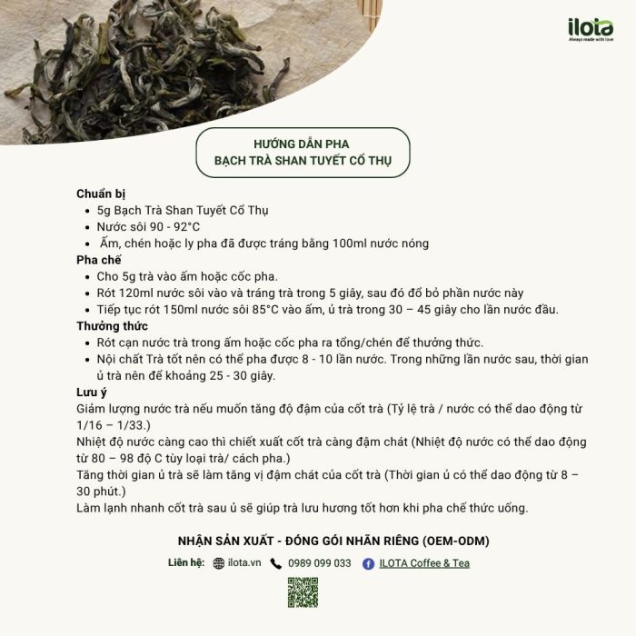 pha-bach-tra-shan-tuyet-co-thu
