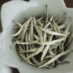 bach-tra-shan-tuyet-co-thu