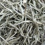 bach-tra-shan-tuyet-co-thu