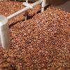 CÀ PHÊ ETHI BLEND (250GR) - Hình ảnh 3