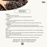 pha-tra-den-vien-ctc