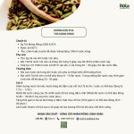 pha-tra-mong-rong