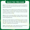 Bạch Trà Tiên 2428 (50gr) - Hình ảnh 4