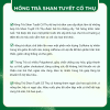 TRÀ THÁI VÂN - Hình ảnh 12