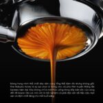ca-phe-fine-robusta-honey