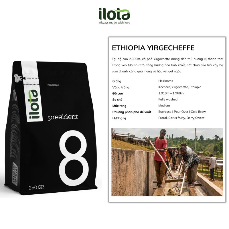 ca-phe-ethiopia-yirgacheffe