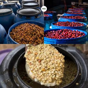 cac-phuong-phap-so-che-ca-phe