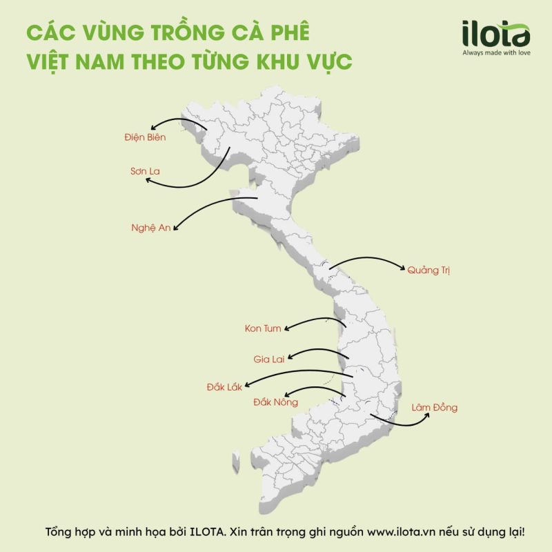 do-cao-anh-huong-den-ca-phe-nhu-the-nao