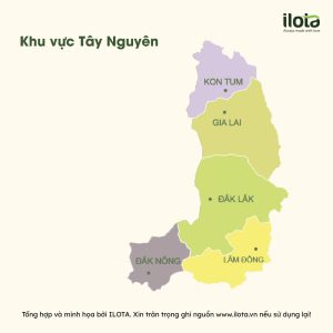 ban-do-vung-trong-ca-phe-viet-nam