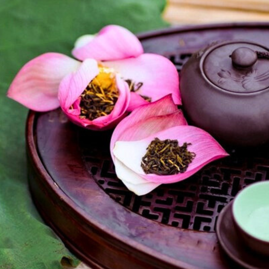 tra-shan-tuyet-uop-sen