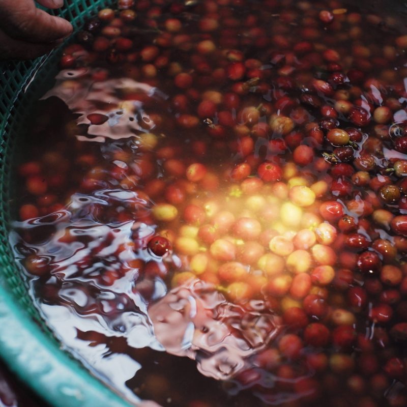 cac-phuong-phap-so-che-ca-phe-chia-khoa-huong-vi