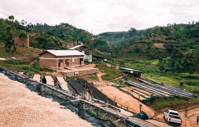 arabica-rwanda-nyamasheke