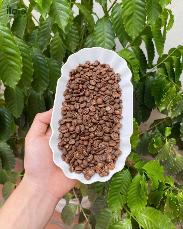 arabica-rwanda-nyamasheke