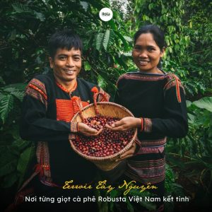 ca-phe-robusta-viet-nam-bieu-tuong-the-gioi