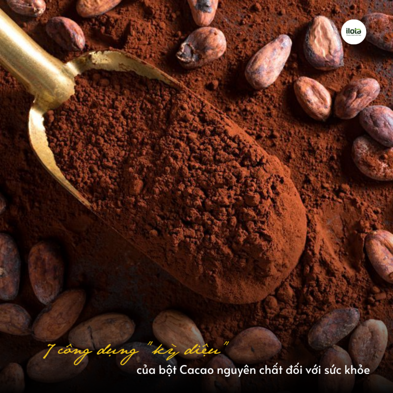 bot-cacao-nguyen-chat