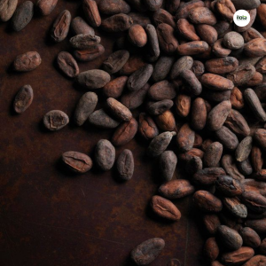 bot-cacao-nguyen-chat-hat-cacao