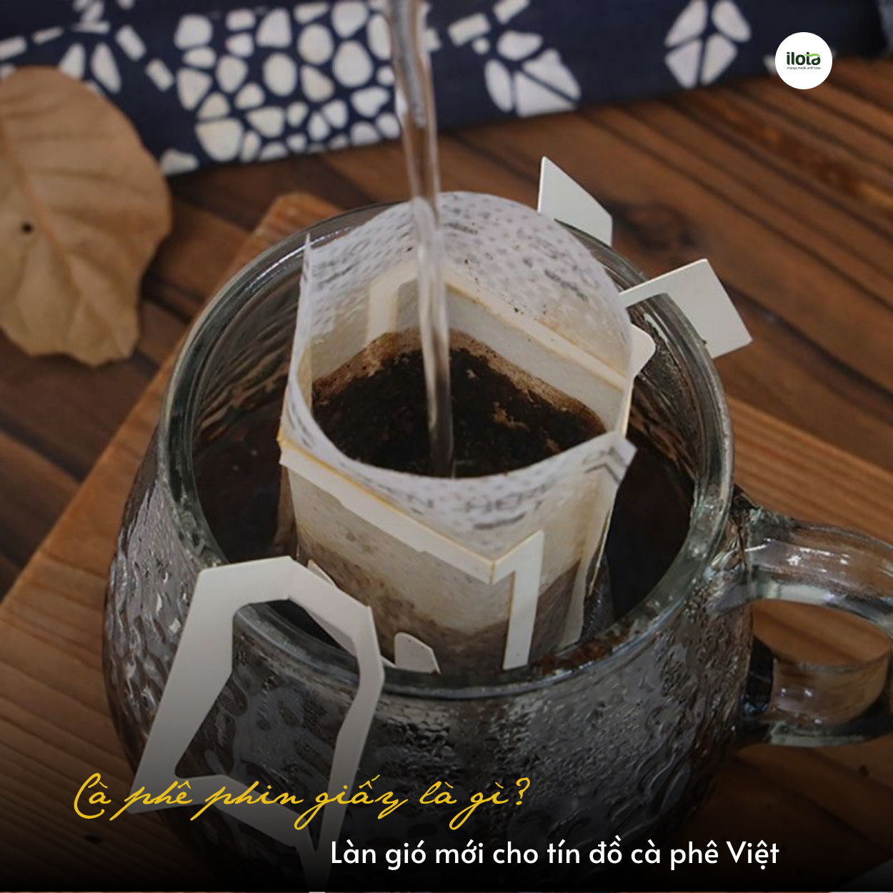ca-phe-phin-giay-la-gi
