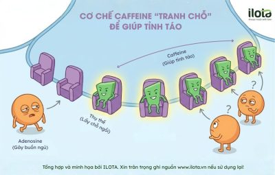 caffeine-trong-ca-phe-7-su-that-khoa-hoc