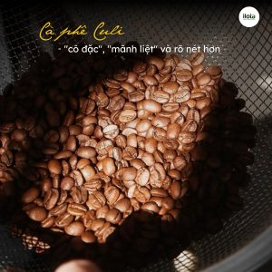 ca-phe-culi-la-gi-loai-hat-ca-phe-dot-bien-hiem-co