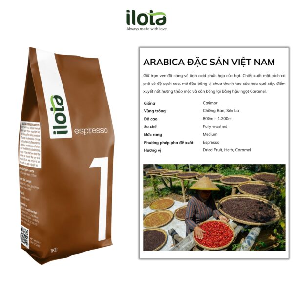 Cà phê Arabica Sơn La (Q)