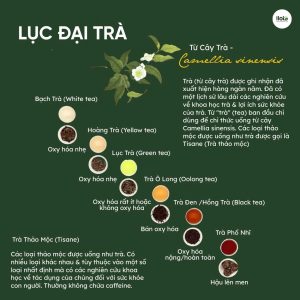 tra-o-long-cuoc-di-cu-thay-doi-ban-do-tra-the-gioi