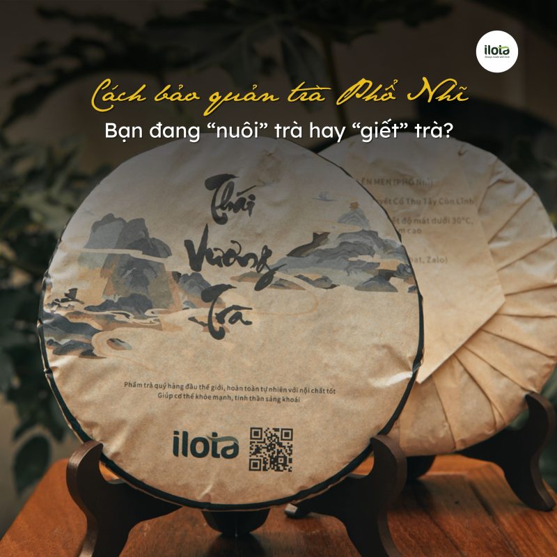 cach-bao-quan-tra-pho-nhi