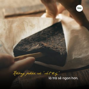 cach-bao-quan-tra-pho-nhi