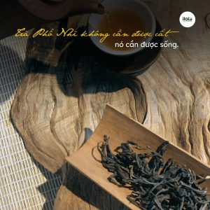 cach-bao-quan-tra-pho-nhi