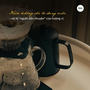 chat-luon-nuoc-khi-pha-pour-over