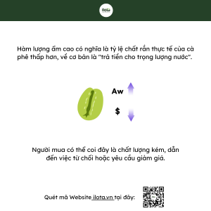 do-am-nhanh-xanh-anh-huong-the-nao-doi-voi-qua-trinh-rang-ca-phe