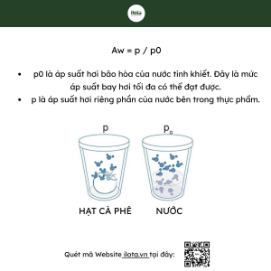 hoat-do-nuoc-aw-trong-ca-phe