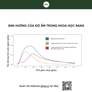 do-am-nhanh-xanh-anh-huong-the-nao-doi-voi-qua-trinh-rang-ca-phe