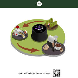 hoat-do-nuoc-aw-trong-ca-phe