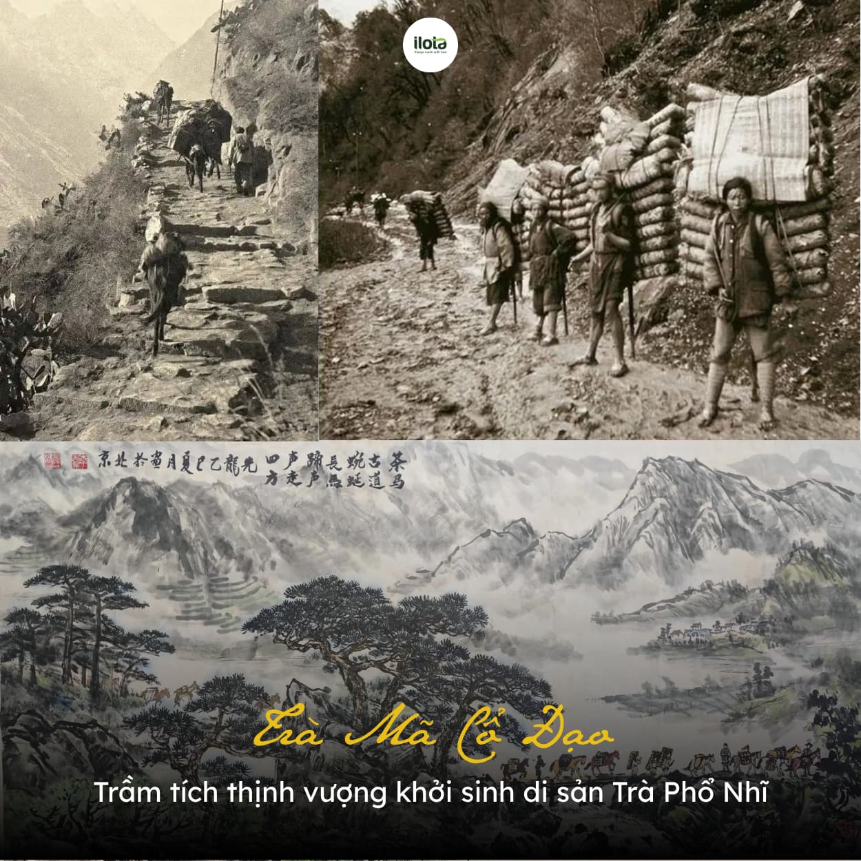 tra-ma-co-dao
