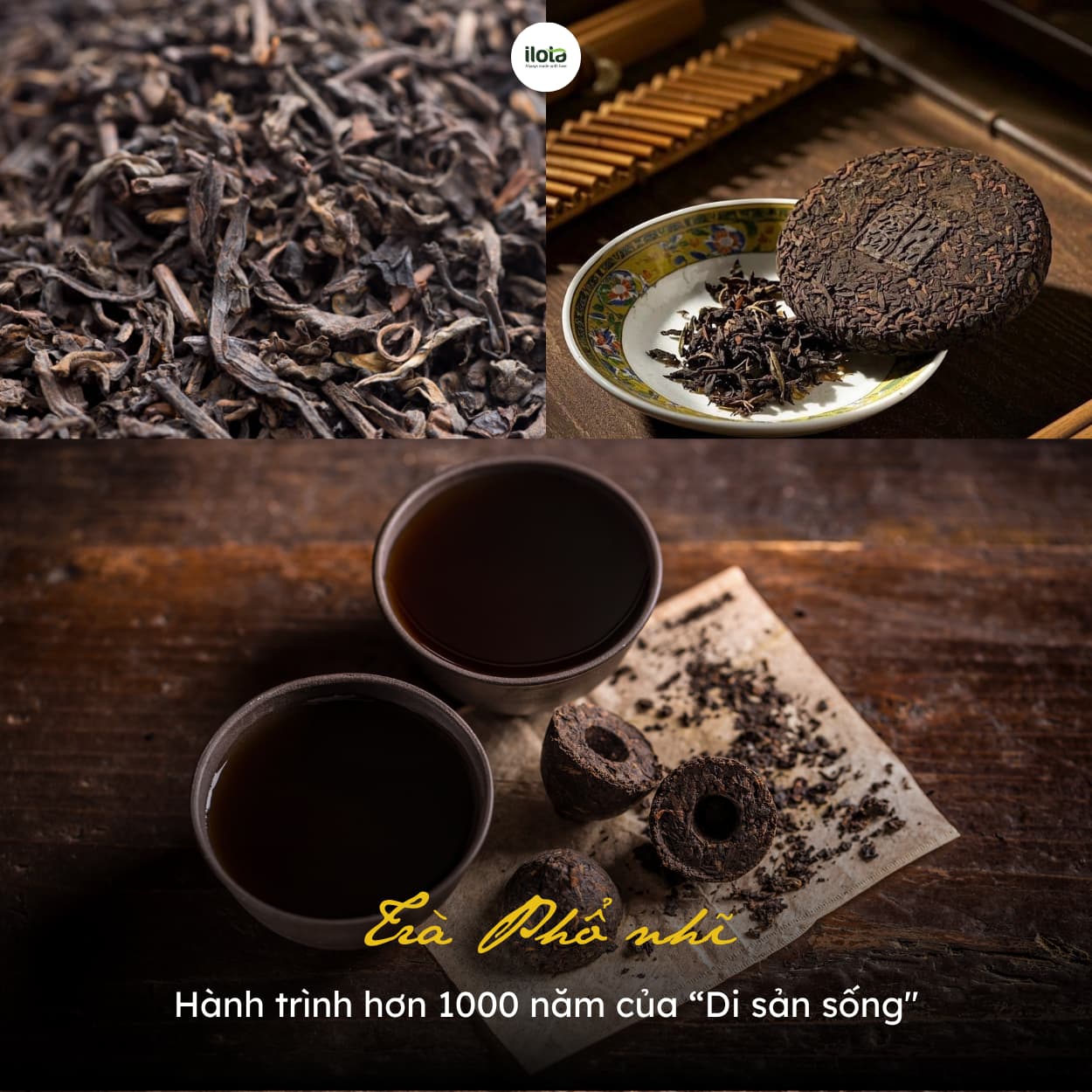 tra-pho-nhi-hanh-trinh-nghin-nam-cua-di-san-song