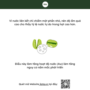 do-am-nhanh-xanh-anh-huong-the-nao-doi-voi-qua-trinh-rang-ca-phe