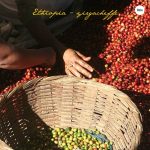 ca-phe-phin-truyen-thong-dac-san