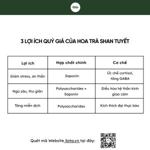 3-loi-ich-hoa-tra-shan-tuyet-bau-vat-an-than-tay-bac