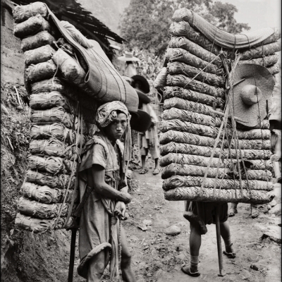 tra-pho-nhi-hanh-trinh-nghin-nam-cua-di-san-song