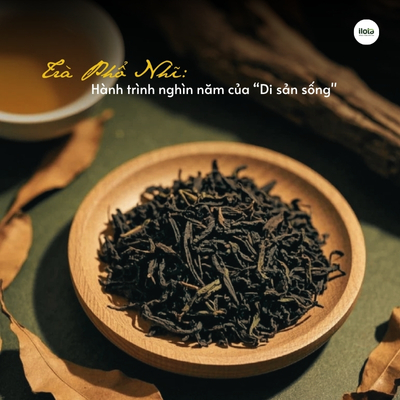 tra-pho-nhi-hanh-trinh-nghin-nam-cua-di-san-song